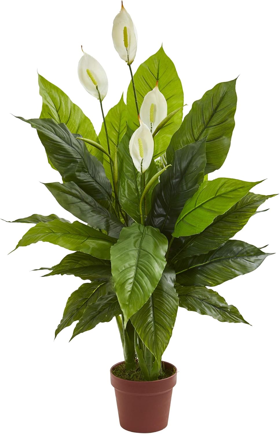 42in Artificial Peace Lily wit - Peace Lily White review and price